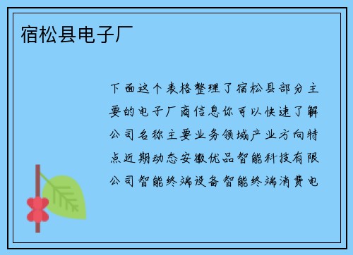 宿松县电子厂